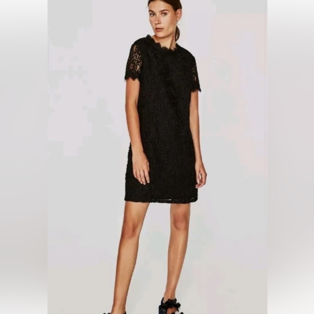 Zara Guipure Lace Short Sleeve Shift Mini Dress Black size small